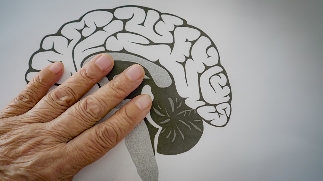 Investigadores del Conicet aportan nuevas pistas para mejorar las terapias del Parkinson a largo plazo