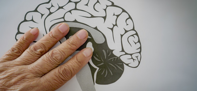 Investigadores del Conicet aportan nuevas pistas para mejorar las terapias del Parkinson a largo plazo