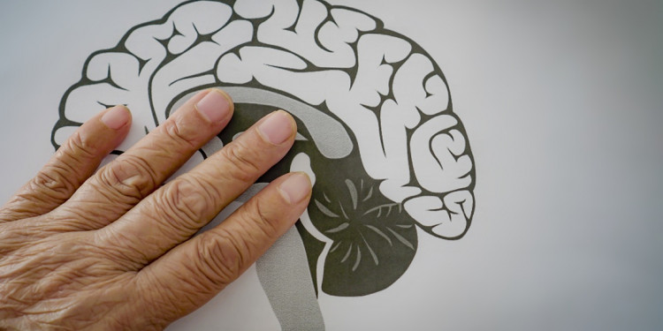 Investigadores del Conicet aportan nuevas pistas para mejorar las terapias del Parkinson a largo plazo