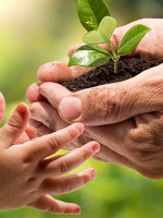 Día Nacional de la Conciencia Ambiental