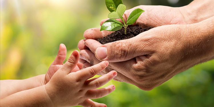 Día Nacional de la Conciencia Ambiental