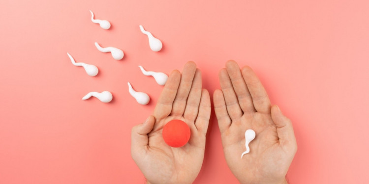 Fertilidad: especialistas de la UNCUYO compartirán información clave