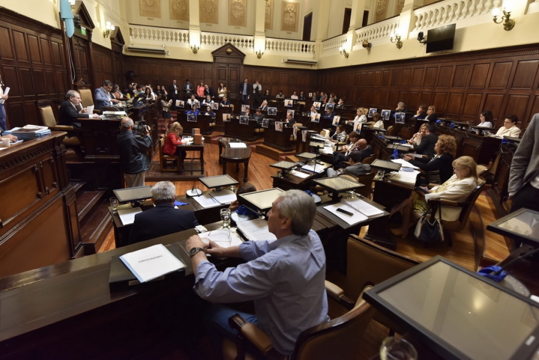 Agravios, larga espera y un cambio para los médicos residentes