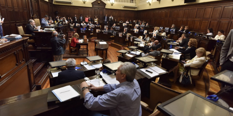 Agravios, larga espera y un cambio para los médicos residentes