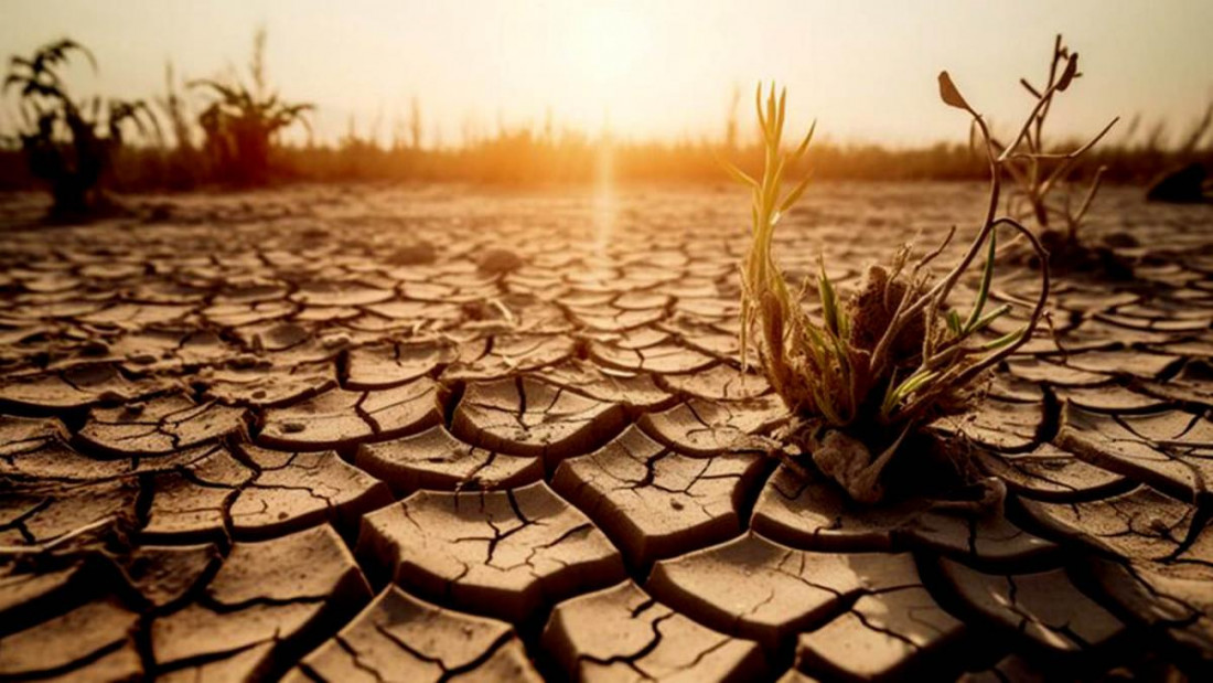 El cambio climático agrava la crisis del hambre y la educación de niños y niñas