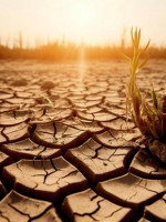 El cambio climático agrava la crisis del hambre y la educación de niños y niñas