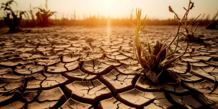 El cambio climático agrava la crisis del hambre y la educación de niños y niñas