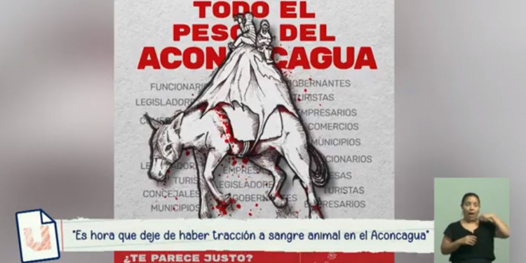 "Es hora de que deje de haber tracción a sangre en el Aconcagua"