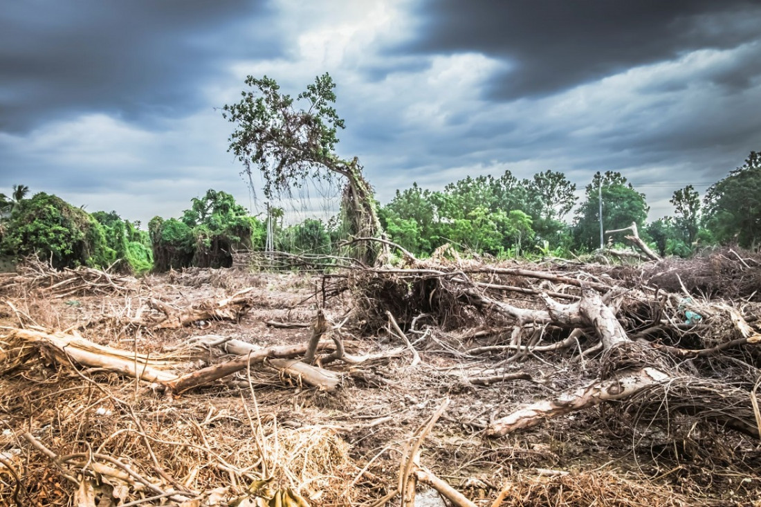 "Tenemos una grave distorsión del uso de los recursos naturales"