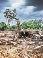 "Tenemos una grave distorsión del uso de los recursos naturales"