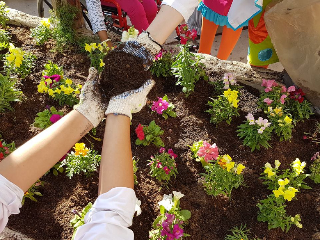 Crear huertas, la nueva iniciativa de Payamédicos para hacer terapia con plantas