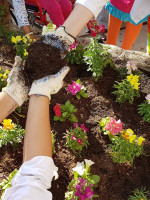 Crear huertas, la nueva iniciativa de Payamédicos para hacer terapia con plantas
