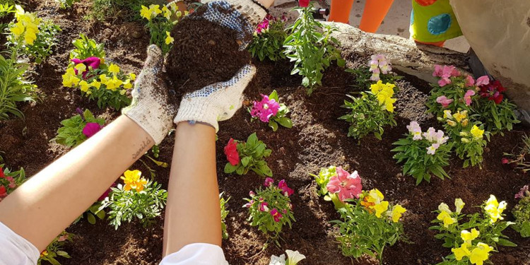 Crear huertas, la nueva iniciativa de Payamédicos para hacer terapia con plantas