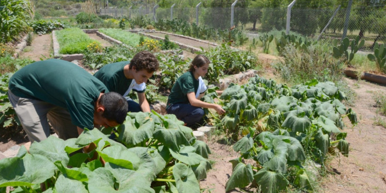 Impulsores UNCUYO: el Liceo Agrícola inicia los primeros pasos para tener su propia bodega