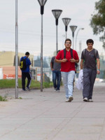 "Te Sumo": crean un programa para recompensar a las empresas que contraten jóvenes