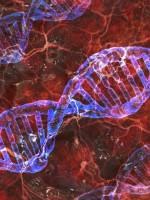 Un estudio describe las alteraciones del ADN que impulsan el cáncer en las células