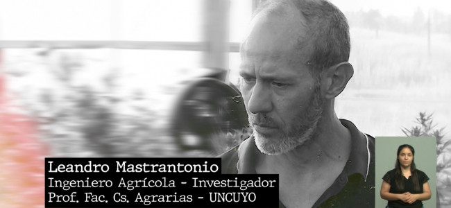"Entretanto" #27: Cannabis medicinal en Mendoza