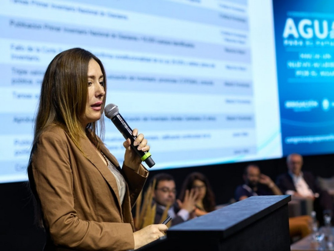 Ley de Glaciares: "Esta reforma no contribuye a la seguridad jurídica que requieren los inversores"