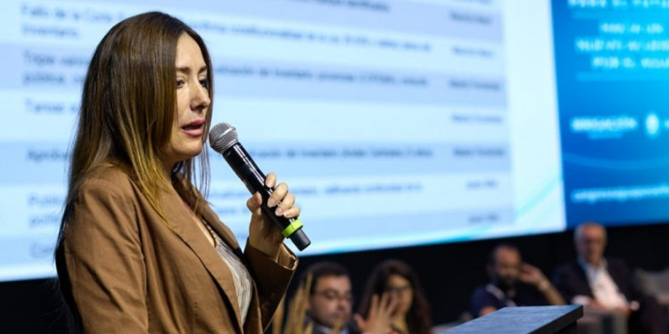 Ley de Glaciares: "Esta reforma no contribuye a la seguridad jurídica que requieren los inversores"