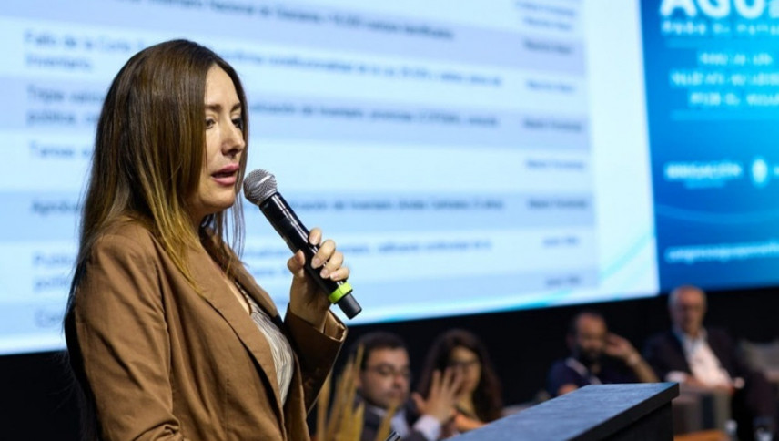 imagen que ilustra noticia Ley de Glaciares: “Esta reforma no contribuye a la seguridad jurídica que requieren los inversores”