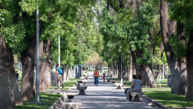 imagen Mendoza tendrá una primavera más cálida que años anteriores 