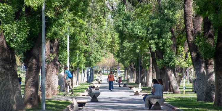 Mendoza tendrá una primavera más cálida que años anteriores