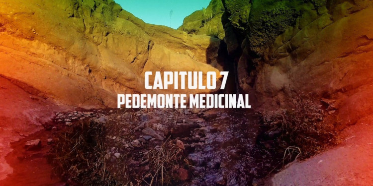 El Pedemonte medicinal