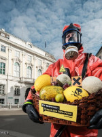 ¿Cuánto tiempo tardan en degradarse estos cinco productos?