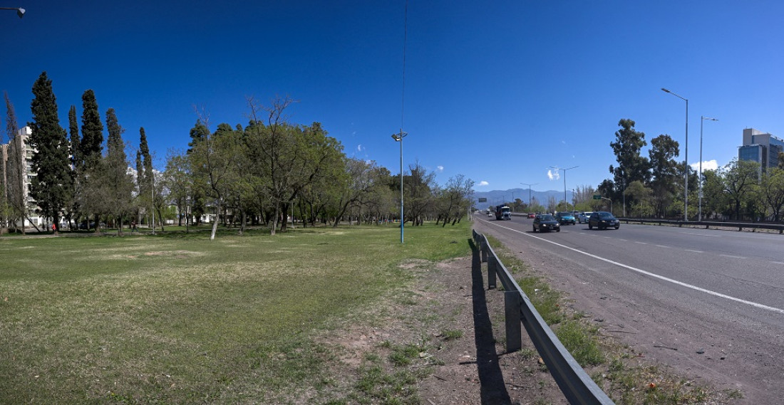 Más árboles, menos ruido: el arbolado reduce hasta 17 decibeles la contaminación sonora en Mendoza