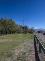 Más árboles, menos ruido: el arbolado reduce hasta 17 decibeles la contaminación sonora en Mendoza