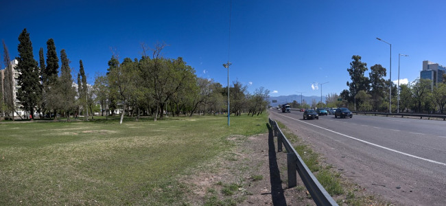 Más árboles, menos ruido: el arbolado reduce hasta 17 decibeles la contaminación sonora en Mendoza