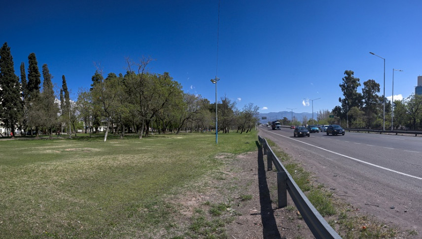 imagen que ilustra noticia Más árboles, menos ruido: el arbolado reduce hasta 17 decibeles la contaminación sonora en Mendoza