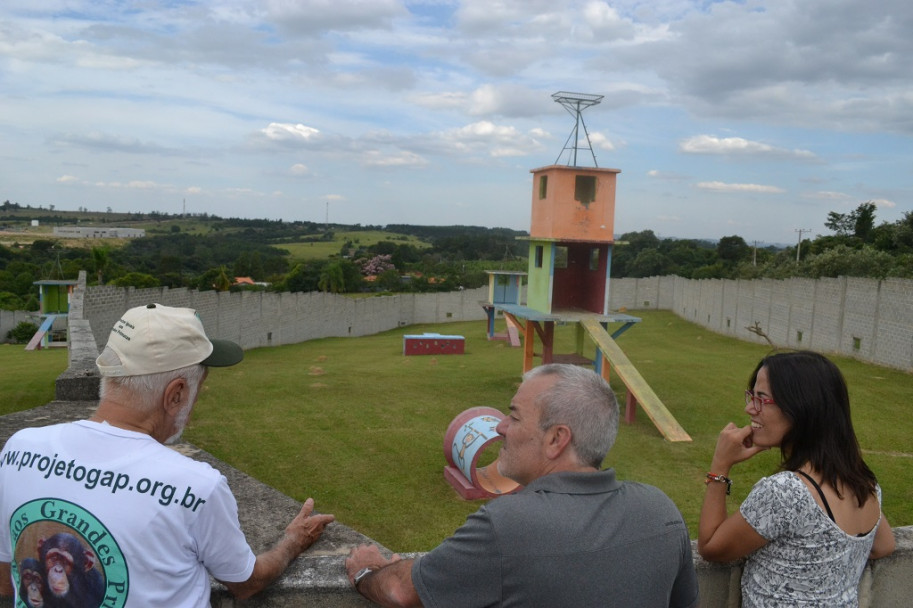 imagen La mona Cecilia llegó al santuario de Brasil