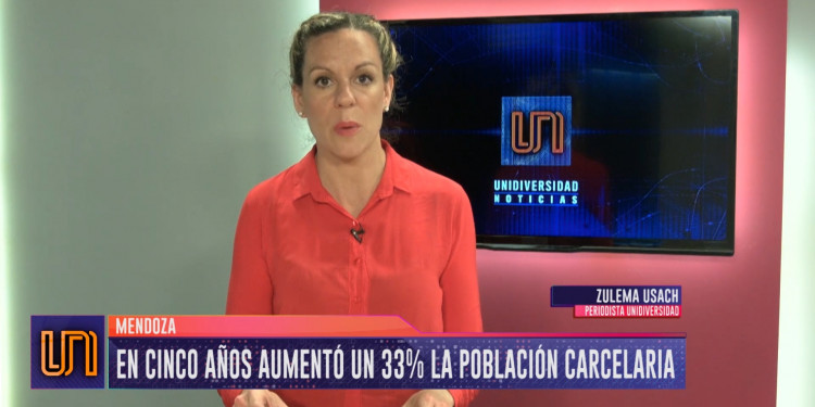 En cinco años aumentó un 33% la población carcelaria