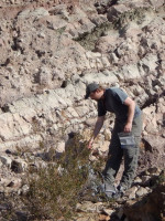 Unas rocas de Mendoza revelaron nuevos datos sobre los ecosistemas terrestres del Triásico