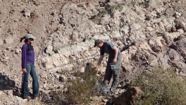 imagen Unas rocas de Mendoza revelaron nuevos datos sobre los ecosistemas terrestres del Triásico