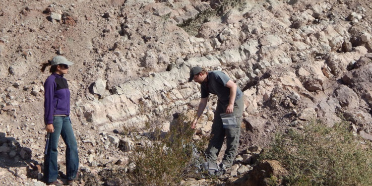 Unas rocas de Mendoza revelaron nuevos datos sobre los ecosistemas terrestres del Triásico