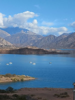 Hallaron microplásticos en peces exóticos y nativos de Mendoza