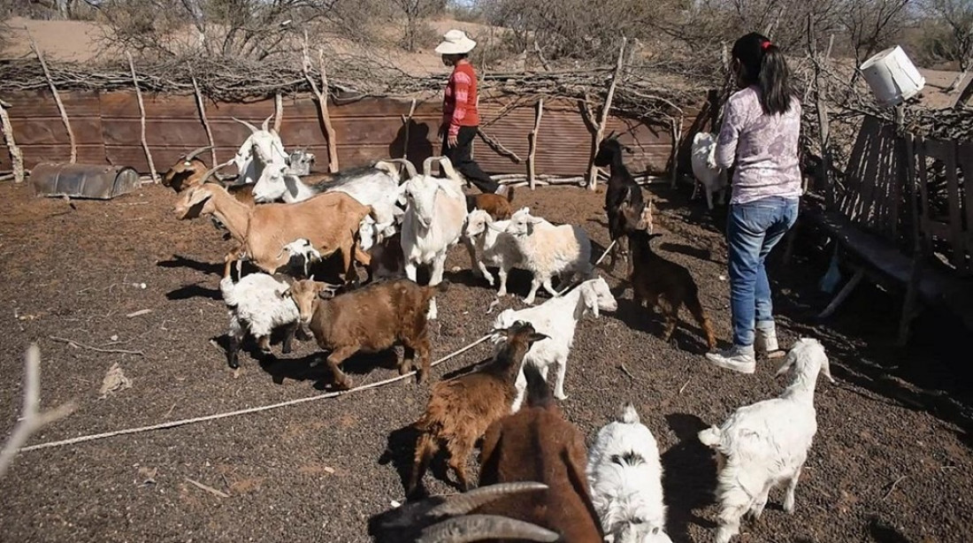 En Mendoza, 45 mil personas se reconocieron como indígenas o descendientes de pueblos originarios