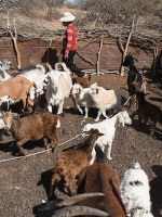 En Mendoza, 45 mil personas se reconocieron como indígenas o descendientes de pueblos originarios