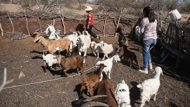 imagen En Mendoza, 45 mil personas se reconocieron como indígenas o descendientes de pueblos originarios