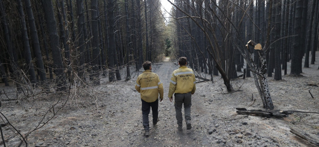Los incendios en la Patagonia ponen bajo la lupa los fondos para combatir el fuego 