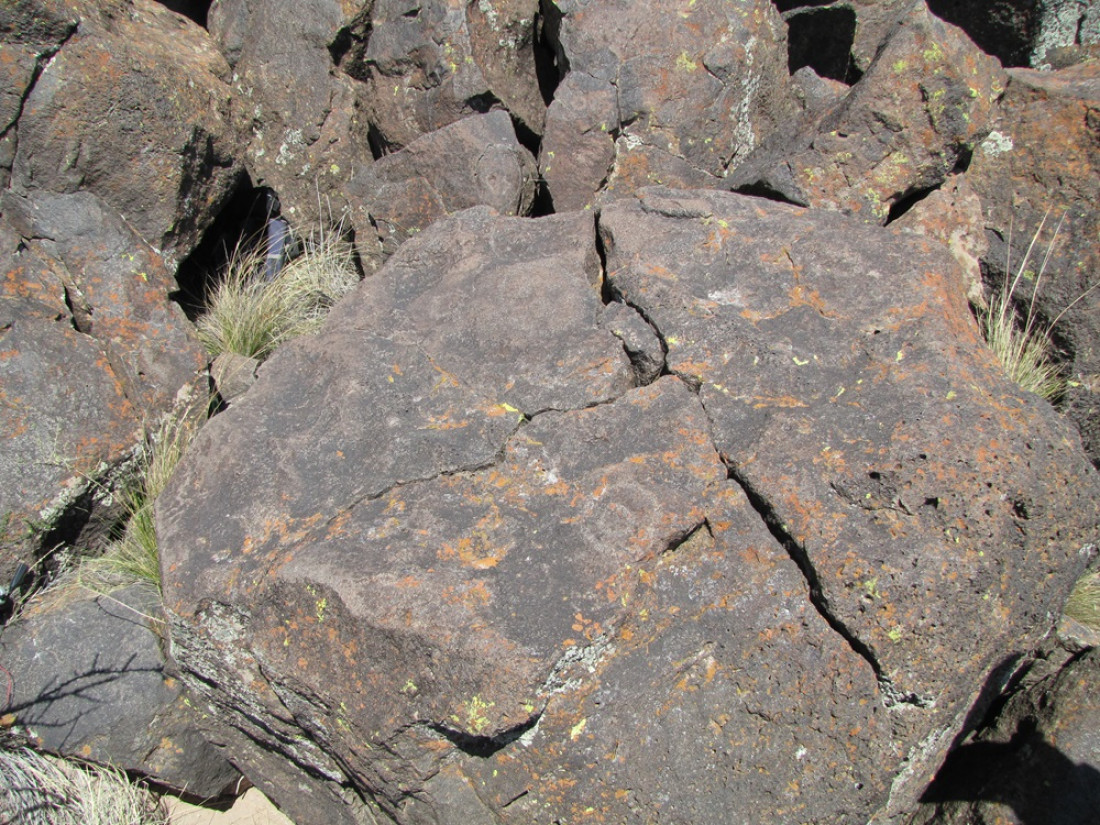 Los secretos del arte rupestre en el extremo sur de Mendoza 