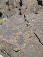Los secretos del arte rupestre en el extremo sur de Mendoza 