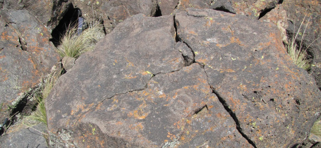 Los secretos del arte rupestre en el extremo sur de Mendoza 