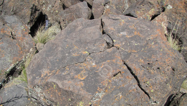 imagen Los secretos del arte rupestre en el extremo sur de Mendoza 