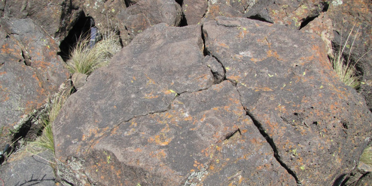 Los secretos del arte rupestre en el extremo sur de Mendoza