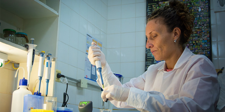 ADN y biodiversidad: contribuciones de la biología molecular a la investigación actual 