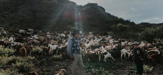 Familias productoras mendocinas perdieron un aliado clave para mejorar la calidad y venta de los alimentos