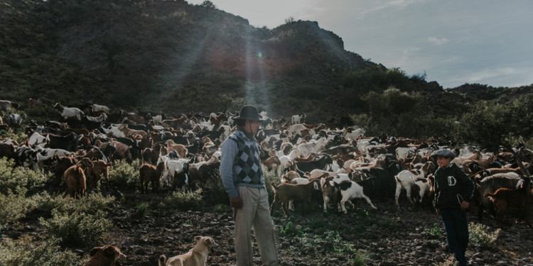 Familias productoras mendocinas perdieron un aliado clave para mejorar la calidad y venta de los alimentos